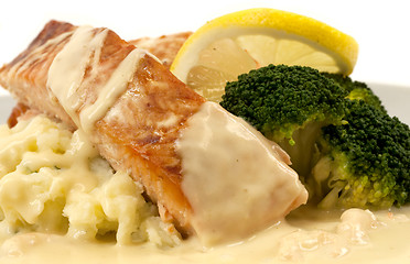 Image showing Salmon with mashed potatoes and cream shrimp sauce