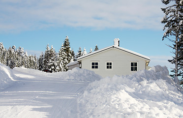 Image showing Winter wonderland