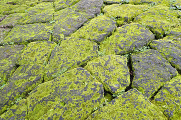 Image showing Mossy Stones