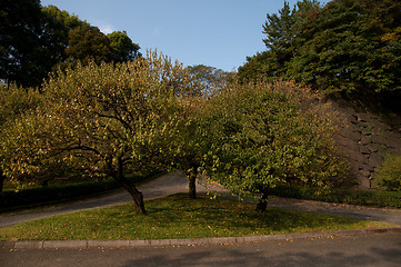 Image showing Imperior palace and garden