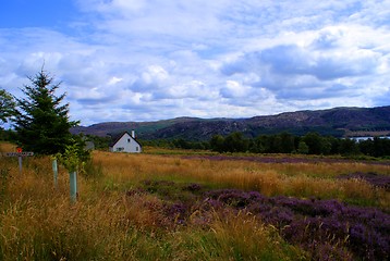 Image showing Scotland nature for walkers