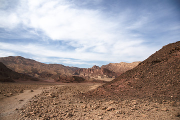 Image showing Travel in Arava desert