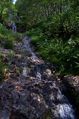 Image showing Scotland nature for walkers