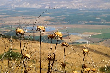 Image showing Galilee landscape