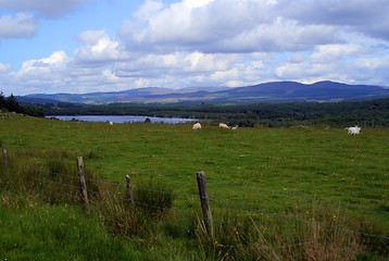 Image showing Scotland nature for walkers