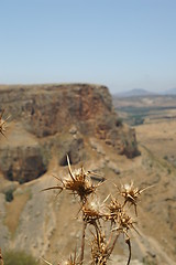 Image showing Galilee landscape