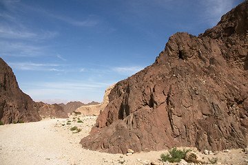 Image showing Travel in Arava desert