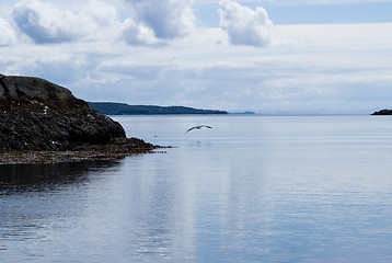 Image showing boat trip in scotland