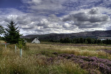 Image showing Scotland nature for walkers