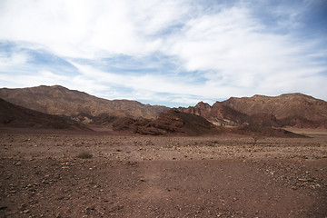 Image showing Travel in Arava desert