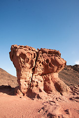 Image showing Travel in Arava desert