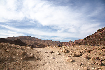 Image showing Travel in Arava desert