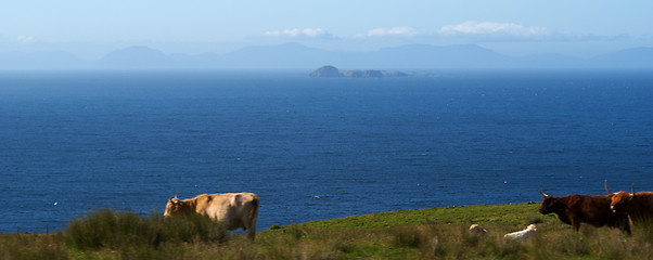 Image showing scotland landscape 