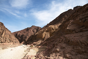 Image showing Travel in Arava desert