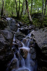 Image showing Scotland nature for walkers