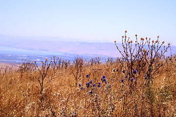 Image showing Galilee landscape