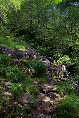 Image showing Scotland nature for walkers