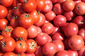 Image showing The tomatoes