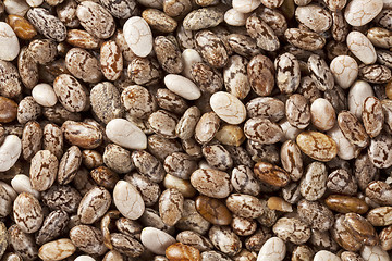 Image showing chia seeds at 2x life-size magnification