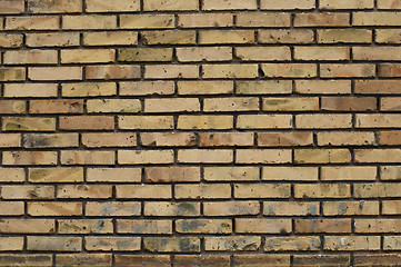 Image showing Brick wall