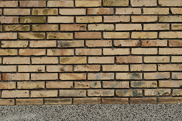 Image showing Brick wall