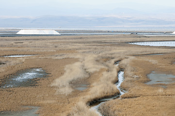 Image showing Sea â€‹â€‹saltern