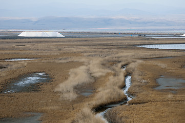 Image showing Sea â€‹â€‹saltern