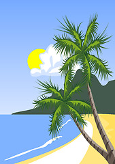 Image showing Palm tree on the tropical beach