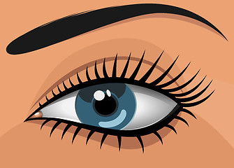 Image showing Woman blue eye