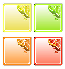 Image showing Fruit collage vector coaster set