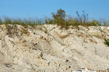 Image showing Wild sandy beach with grass
