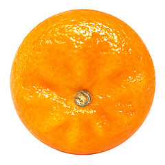 Image showing Tangerine