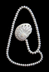 Image showing White pearls and nacreous cockleshell on the black velvet 