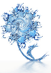 Image showing Flower made of water