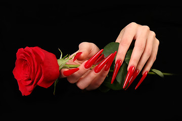 Image showing Human fingers with long fingernail and beautiful manicure isolated on black