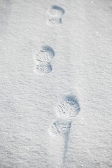 Image showing Snow footprints