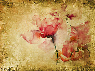 Image showing texture with watercolor roses