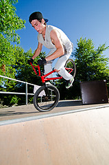 Image showing BMX Bike Stunt