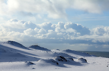 Image showing Tundra in winter