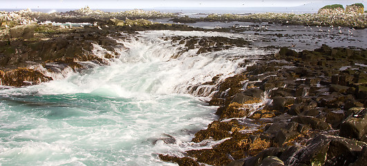 Image showing Big wave on shore