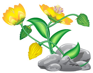 Image showing fantasy flower