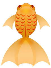 Image showing Fancy Goldfish Illustration Top View Isolated on White