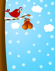 Image showing Christmas Partridge on a Pear Tree Winter Scene