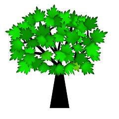 Image showing Green Leaves on Tree in Summer