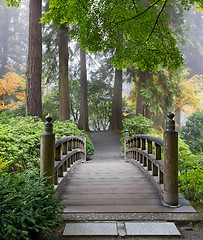 Image showing Foggy Morning at Wooden Foot Bridge at Japanese Garden