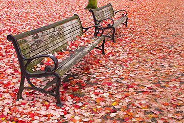 Image showing Park Benches in the Fall