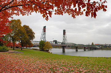 Image showing Fall Colors at Portland Oregon Downtown Waterfront