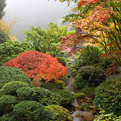 Image showing Creek at Japanese Garden in the Fall