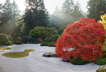 Image showing Sun Beams at Japanese Flat Sand Zen Garden