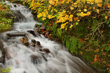 Image showing Wahkeena Falls at Columbia River Gorge in the Fall